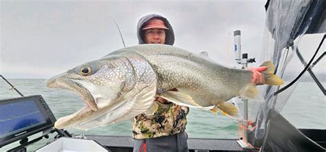 Is that the biggest fish you’ve ever caught? - Reviews, Photos ...