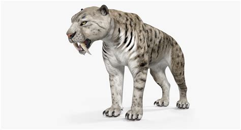 Arctic Saber Tooth Cat 3D | 3D Molier International