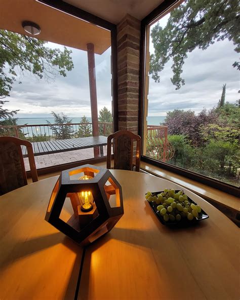 Local Color Logo 的图像结果