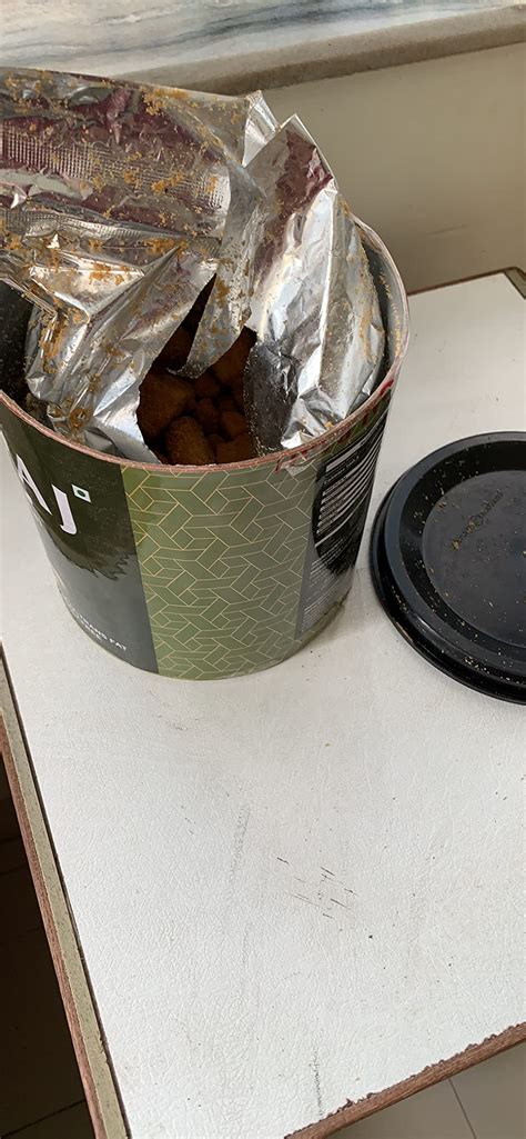 DHIRAJ BAKERS Surti Nankhatai Tin Biscuit Cookies (500GM) : Amazon.in ...