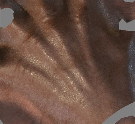 Image result for Unity VR Hand Model Free