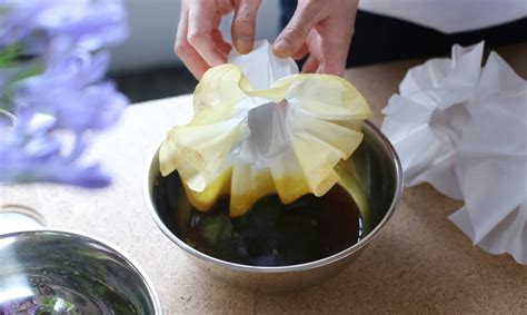 六本木未来会議アイデア実現プロジェクト#04「森の学校」2022｜六本木未来会議 -デザインとアートと人をつなぐ街に-