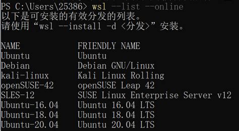 WSL Example 的图像结果