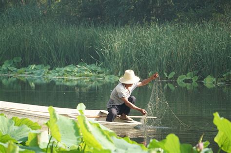古老的传承：鸬鹚捕鱼|文章|中国国家地理网