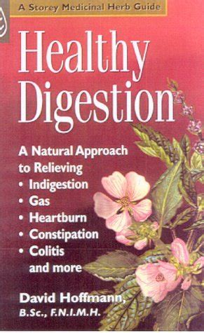 Buy Healthy Digestion: A Natural Approach to Relieving Indigestion, Gas ...