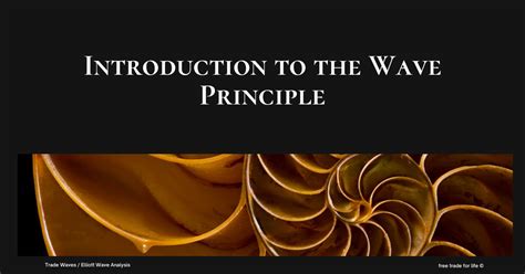 Введение в Волновой Принцип — Teletype