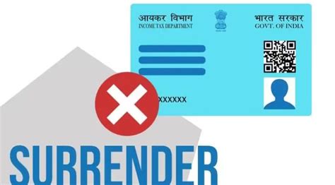 How to Cancel Your PAN Card Online: A Step-by-Step Guide - PAN Card ...