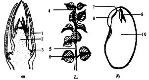Image result for Variables in Python Instance and Class