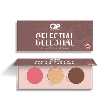 Buy professional makeup products online at best price in India