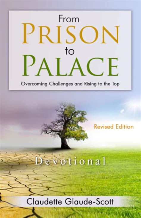 Buy From Prison to Palace: Overcoming Challenges and Rising to the Top ...