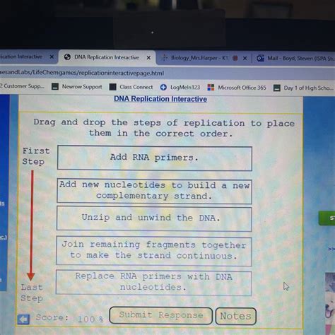 Drag and drop the steps of replication to place them in the correct order. - brainly.com