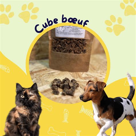 cubes entrainement boeuf sachet 500g - JF Animalerie