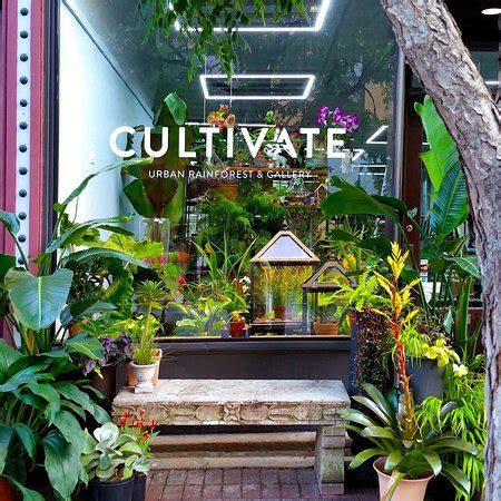 Evanston Photos - Featured Images of Evanston, IL - Tripadvisor