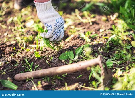 Image result for Uprooting Using Hands