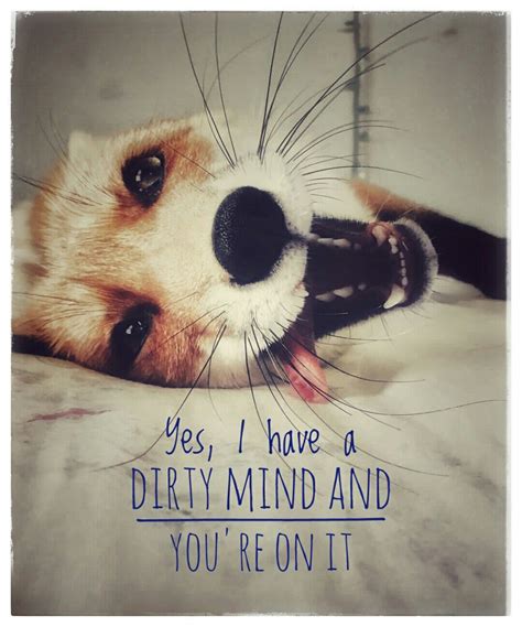 quotes from fox and the hound