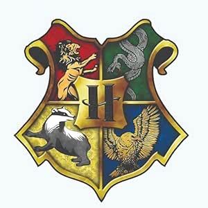 Buy Hogwarts School Cartoon Character Wooden Refrigerator Stylish ...