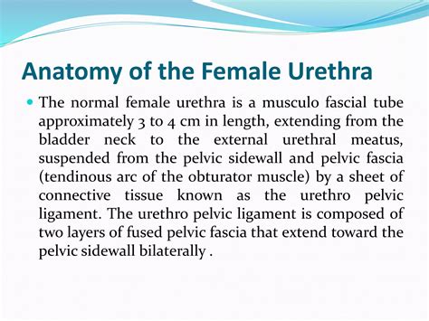 urethral mass DD.pptx