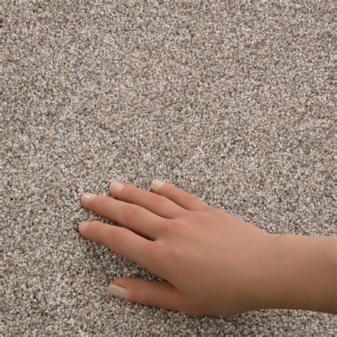 STAINMASTER (Sample) 8-in x 8-in Animated III Mushroom Brown 82.9-oz sq ...