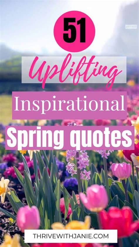 Image result for Inspirational Reflection for Spring