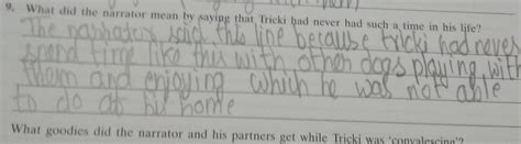 what did the narrator mean by saying that tricki had never had such a ...