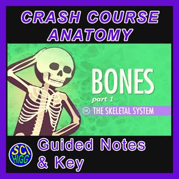 Image result for Crash Course Skeletal System