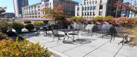 Easy to Execute Rooftop Garden Ideas and Tips