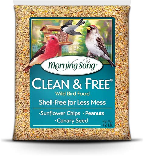 Amazon.com : Morning Song Clean & Free No Mess Wild Bird Seed – 12 lb ...