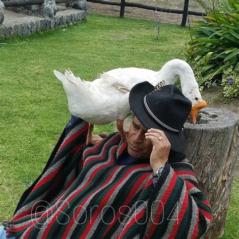 HOSTERIA LA ESTACION (Quito) - B&B Reviews & Photos - Tripadvisor