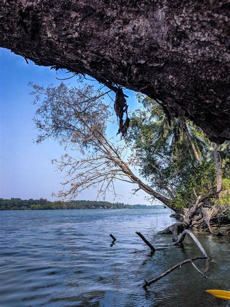 KayakBoy - Exploring river Sita on kayak
