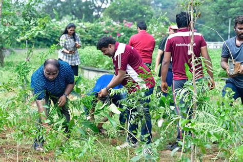 Events – Communitree