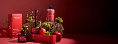 Buy Reed Diffusers & Car & Home Fragrances Online | Soul & Scents