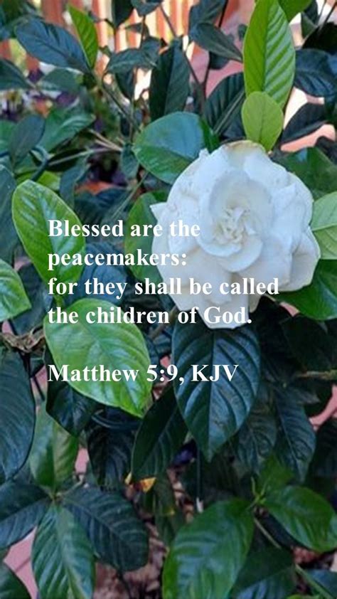 Blessed are the poor in spirit: for theirs is the kingdom of heaven ...
