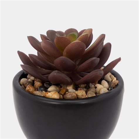 Planta artificial con cuerpo negro suculenta 17 x 5 cm