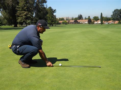 Stimpmeter Differences 的图像结果