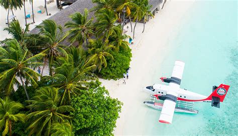 Image result for Customer Support in Computer Reservation System