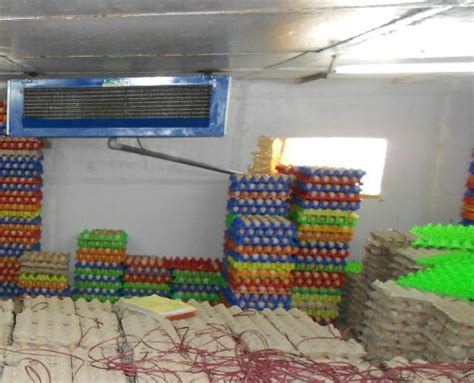 Sri Balaji Farm - Poultry Farm Services & Home