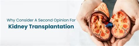 Know Why Consider Kidney Transplantation Second Opinion