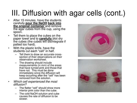 Image result for Agar Plug Diffusion Method