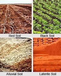 Difference between alluvial and black soil. - Brainly.in