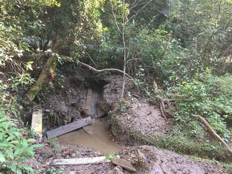 Image result for Spring Water Collection