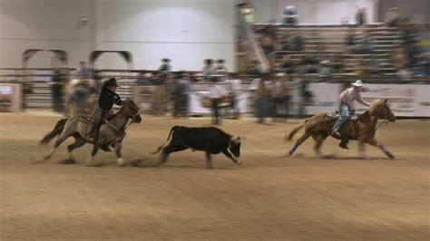 Image result for Team Roping Rodeo