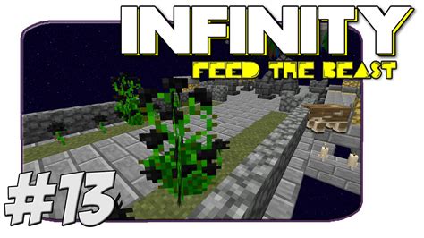 Image result for Infinity Barrel Overloaded FTB