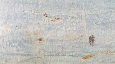 Image result for defect