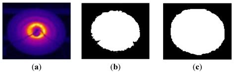Contamination Grades Recognition of Ceramic Insulators Using Fused ...