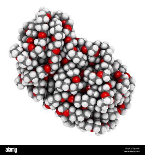 Polyethylene glycol 10.000 (PEG, polyethylene oxide, PEO) molecule ...