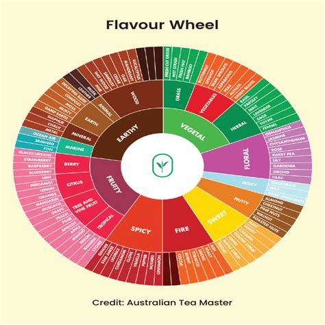 Study Tea in India – Tea Trunk