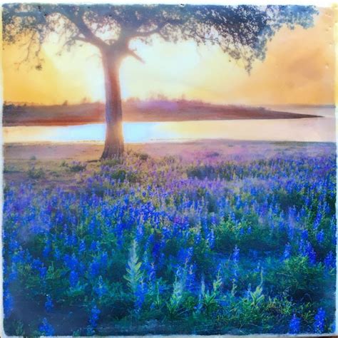 Introduction to Encaustic Art with Mary Hogan, Fine Arts Center for the ...