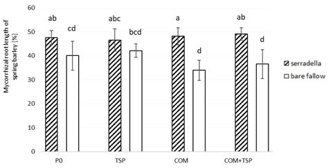 Impact of the Legume Catch Crop Serradella on Subsequent Growth and P ...