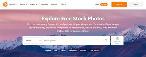 Free Stock Photo Websites 的图像结果