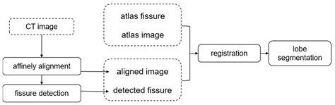 A Fissure-Aided Registration Approach for Automatic Pulmonary Lobe ...